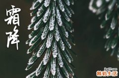 霜降时节是几月几日星期几