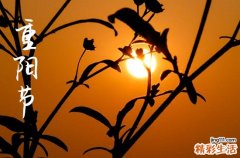 重阳节可以说节日快乐吗