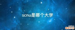 scnu是哪个大学