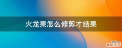 火龙果怎么修剪才结果