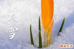 2023年的大雪是几月几日