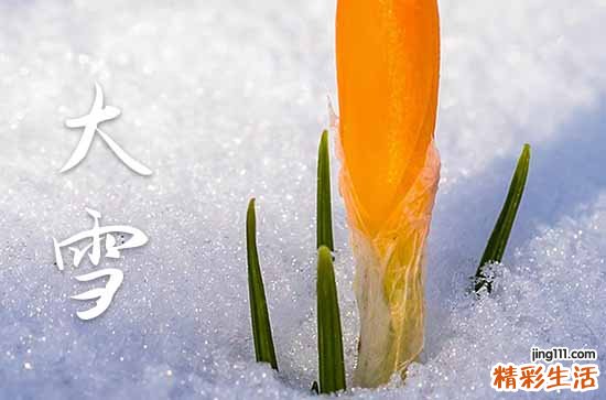 2023年的大雪是几月几日