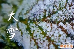 2023年大雪节气是几月几日开始