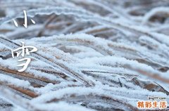 2023年小雪节气农历时间表