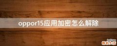 oppor15应用加密怎么解除