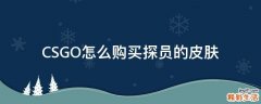 CSGO怎么购买探员的皮肤