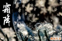 二十四节气霜降是第几个节气
