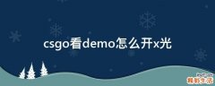 csgo看demo怎么开x光