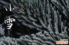 2023年小雪节气具体应该是哪天