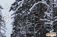 2023小雪节气具体时间表