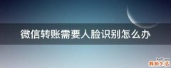 微信转账需要人脸识别怎么办