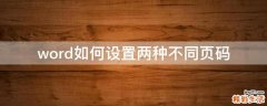 word如何设置两种不同页码