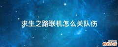 求生之路联机怎么关队伤