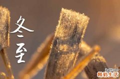 205句 冬至优美祝福语