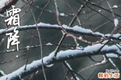 霜降祝福语唯美210句