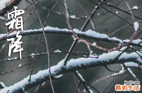 霜降祝福语唯美210句