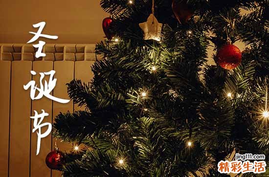 圣诞节祝福语句子210句