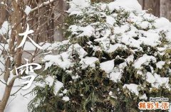 2023年大雪节气到底是哪天
