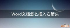 Word文档怎么插入右箭头