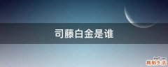 司藤白金是谁