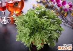 茼蒿是凉性还是热性 茼蒿是酸性还是碱性