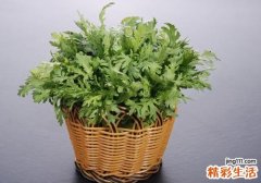 茼蒿哺乳期可以吃吗 哺乳期吃茼蒿有什么好处