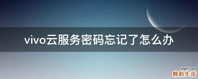 vivo云服务密码忘记了怎么办