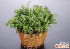 哺乳期可以吃茼蒿菜吗 哺乳期吃茼蒿菜有什么好处