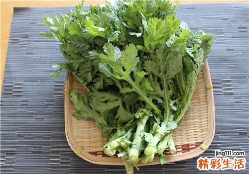 高血压能吃茼蒿吗 吃茼蒿菜有什么好处