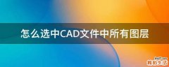 怎么选中CAD文件中所有图层