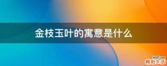 金枝玉叶的寓意是什么