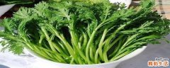 茼蒿叶子能吃吗 茼蒿吃叶子还是梗