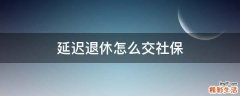 延迟退休怎么交社保