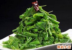 云龙菜是蕨菜吗 蕨菜和云龙菜的区别