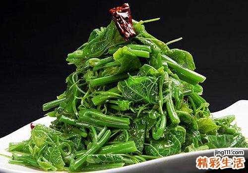 云龙菜是蕨菜吗 蕨菜和云龙菜的区别