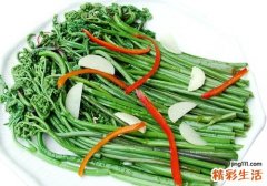 蕨菜为什么苦 蕨菜有点苦能吃吗