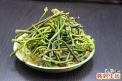 吃蕨菜有什么危害 吃蕨菜的注意事项