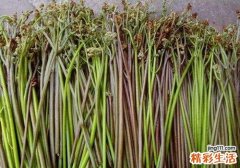 蕨菜吃了有什么好处 吃蕨菜需要注意什么