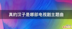 真的汉子是哪部电视剧主题曲