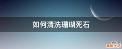 如何清洗珊瑚死石