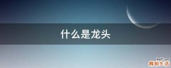 什么是龙头