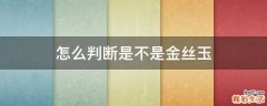 怎么判断是不是金丝玉