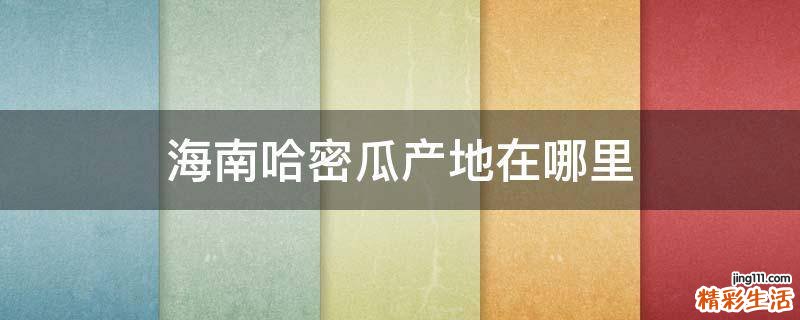 海南哈密瓜产地在哪里