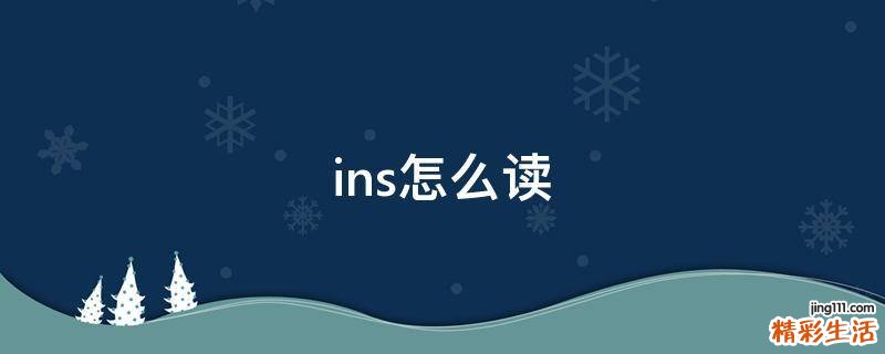 ins怎么读