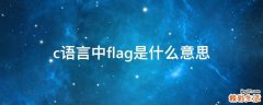 c语言中flag是什么意思