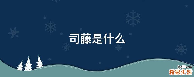 司藤是什么
