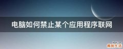 电脑如何禁止某个应用程序联网