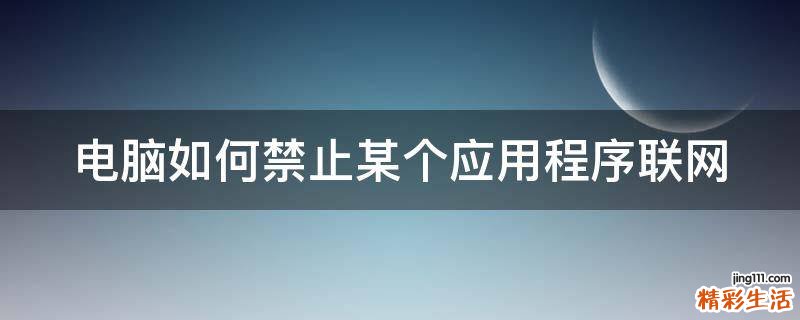 电脑如何禁止某个应用程序联网
