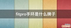 fitpro手环是什么牌子