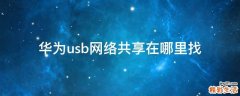 华为usb网络共享在哪里找